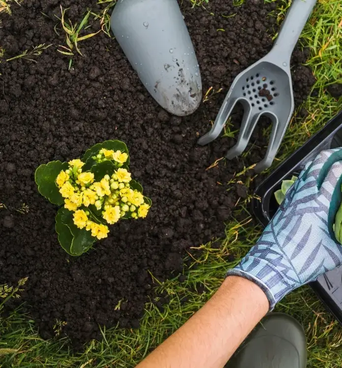 aldali-gruppe-bg-garten